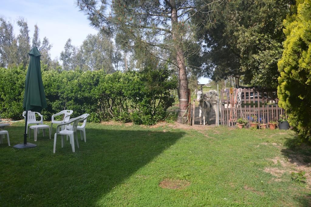 B&B Fra E Fe Arborea Ngoại thất bức ảnh